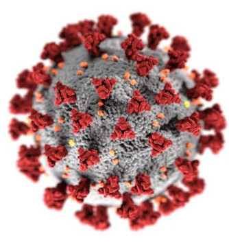 SARS-CoV-2 rendering CDC Alissa Eckert 2020
